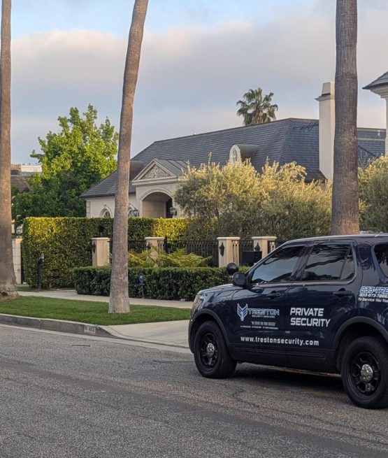 Residential Security Treston
